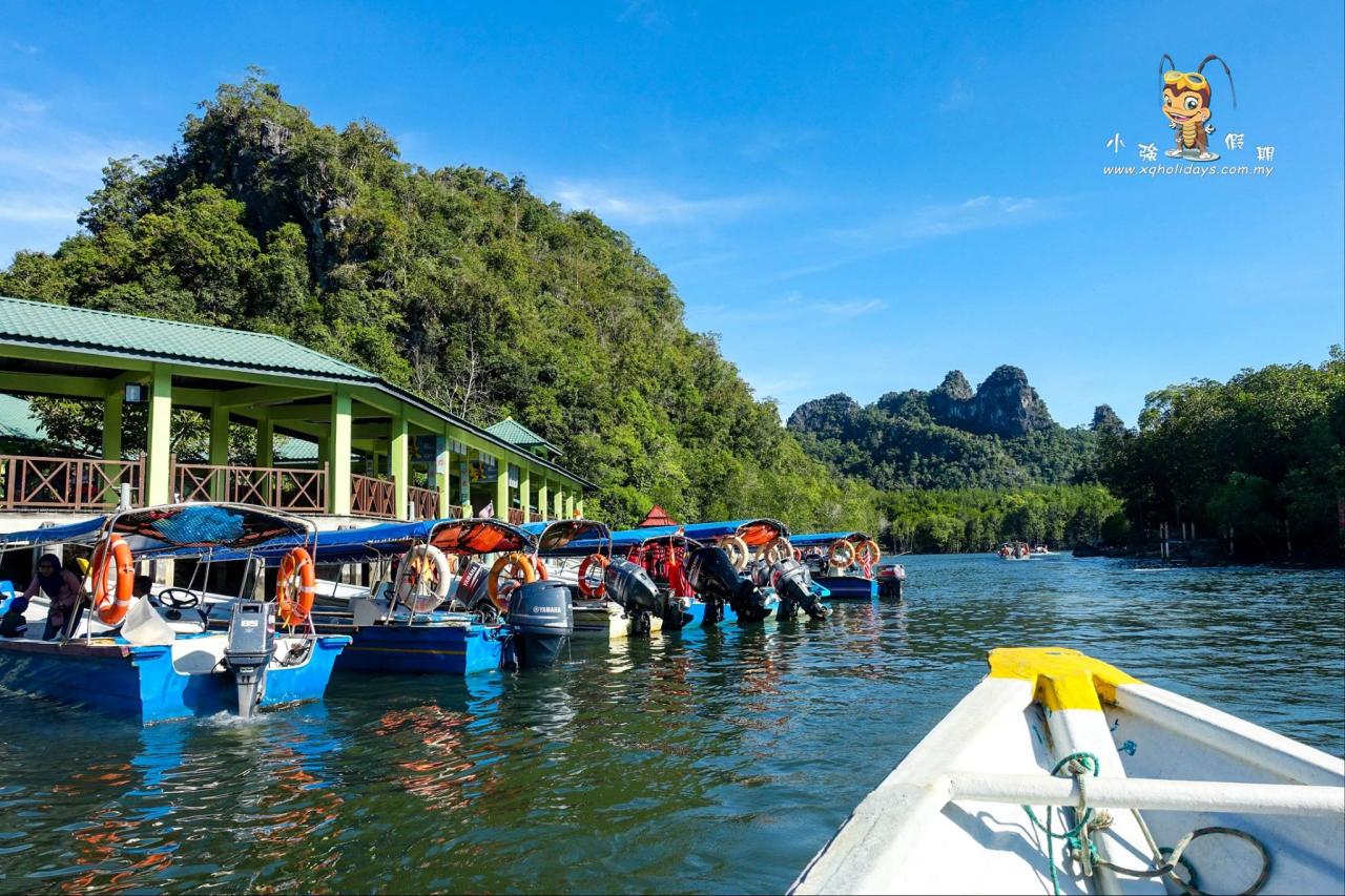 Jelajahi Ekosistem Mangrove Langkawi yang Menawan dengan Mangrove Tour