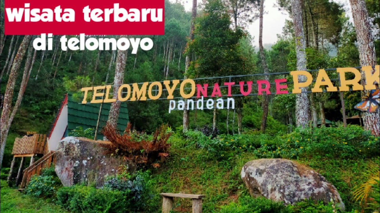 Telomoyo Nature Park: Menikmati Pesona Alam dan Aktivitas Seru di Lereng Gunung Merapi